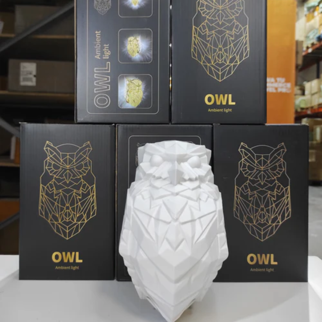 Lámpara de Pared Búho 3D en Resina con Luz LED