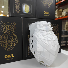 Lámpara de Pared Búho 3D en Resina con Luz LED